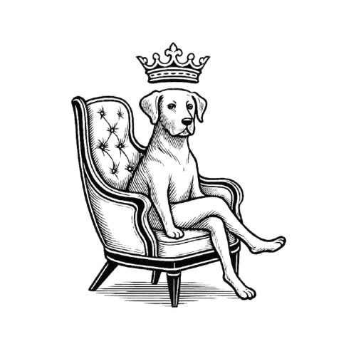 Sit N Stay